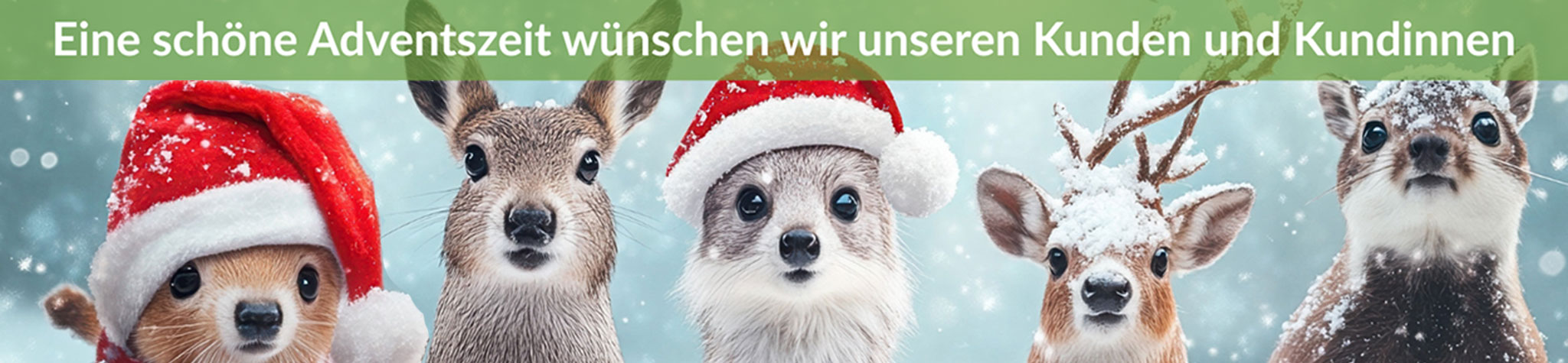 Wir wünschen eine schöne Adventszeit Schöne Adventszeit